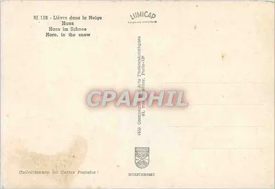 Zając w śniegu — BJ 116 — LUMICAP — Rewers
