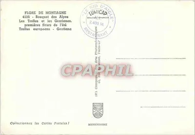 Bouquet das Alpes — Les Trolles e as Gentianas — IRIS — Verso