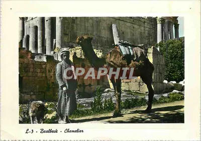 Baalbeck - Chamelier — editora Gulef, série L-3