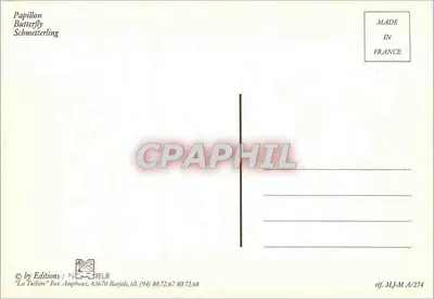 Motyl — wydawnictwo Fox Amphoux — ref. MJ.M.A/274 — Rewers
