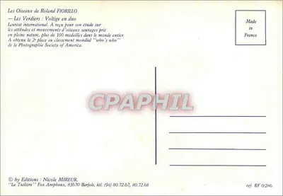 Dwa ptaki w locie — Les Verdiers : Lot w parze — Éditions Nicole MIREUR, ref. RF 0/286 — Rewers