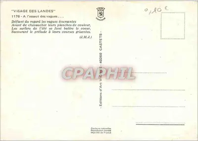 दो सर्फर तट पर — विग्नेस, श्रृंखला 1176 — विग्नेस कला संस्करण — पीछे