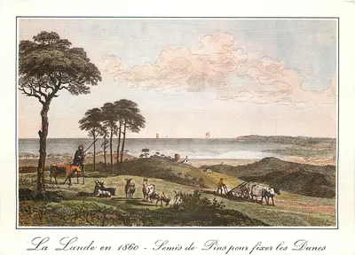 La Lande nel 1860 — Semina di Pini per fissare le Dune — Vecchie Incisioni Landesi del 1860