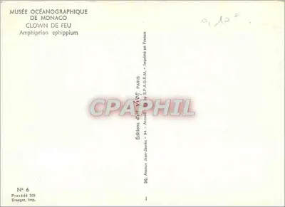 Ryba kлоwna w anemonie — Muzeum Oceanograficzne w Monako — Éditions Jean-Jaurès, Paryż — Rewers