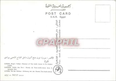Todo-Ankh-Amon — Momia de Tut-Ankh-Amon em seu Sarcófago Dourado — Dar El Guedid, Cairo — Verso