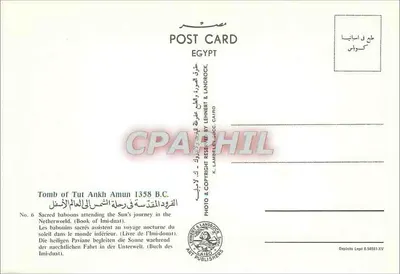 Tumba de Tut Ankh Amun — Babuínos sagrados acompanhando a jornada do Sol — K. Lehner & Landrock, Cairo — Verso