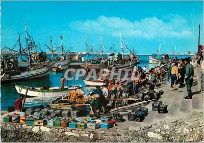 Vismarkt in Vodroijille — Portugal Turístico — n°330