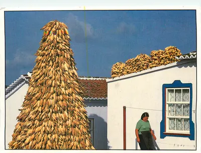 Terceira — tradicional casa de trigo — Açores, Portugal