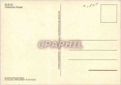 Janela de casa com persianas azuis — Coleção floral GLB 03 — Aquarela de Gwendal le Bayon — Verso