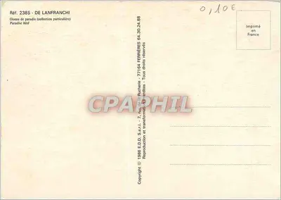 Ptak parasol — zbiór prywatny — E.D.D. S.a.r.l. — Rewers