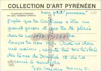 Flores dos Pirineus — Anêmone Vernalé — Éditions d'Art Pyrénéen — Verso