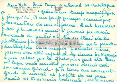 Lilium Martagon — Wydawca Edy — n° 0140 — Rewers