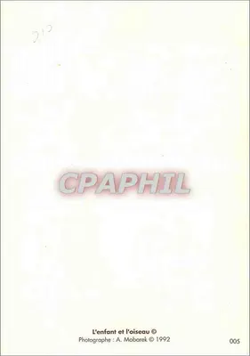 Dziecko i ptak — Fotografia A. Mobarek © 1992 — seria 005 — Rewers