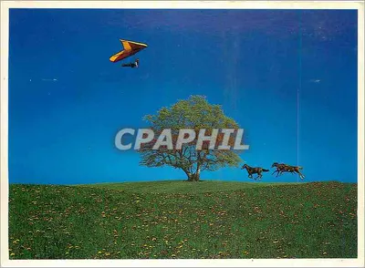 Campo de flores com parapente e cavalos — Edições Reverie - Traümerei, n° 17 00 9062