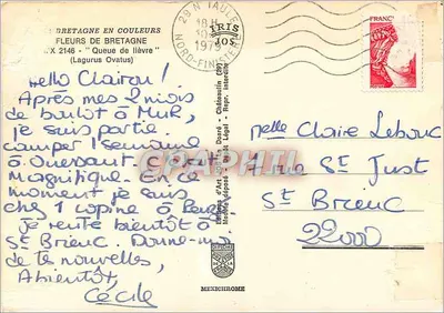Kwiaty Bretanii — 'Ogon zająca' (Lagurus Ovatus) — Éditions d'Art La Doaré — Rewers