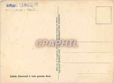 Dahlia Cincinnatus — gatunek dahlii — wydana przez Bernarda LENORMANDA, Paryż — Rewers