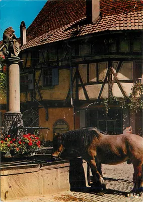 Riquewihr — Fonte da Sinne datada de 1560 — Edições 'La Cigogne'