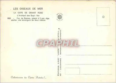 Fou de Bassan das Sete Ilhas — Editor Jack, n°22 — Verso