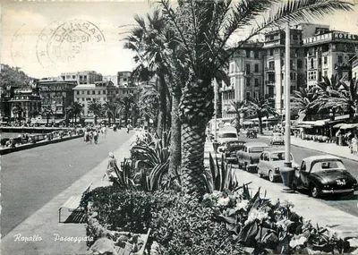 Rapallo - Passeggiata — widok promenady otoczonej palmami i samochodami z epoki — Wydawnictwo G.C.C.