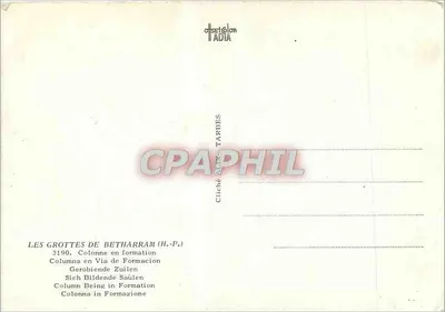 Las Cuevas de Betharram — Columnas en formación — Cliché H.-P. Tarbes — Reverso