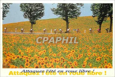 Ciclistas na natureza — Ataque o verão sem freios! — Pool Vandystadt, agência Cultural Paul Ricard