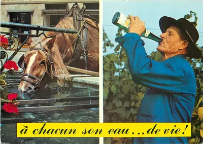 Cavalo na fonte — Vigneron bebendo — L'Alsace pittoresque, n°509/68