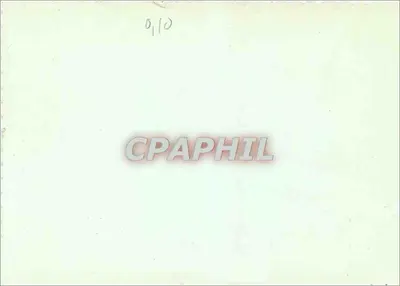 Róża czerwona — kartka z wypowiedzią — n° 0110 — Rewers