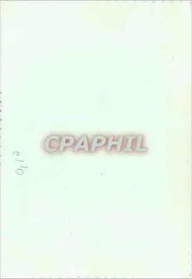 Dwie róże — rysunek i kolacja — n° e110 — Rewers