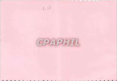 Flor laranja e branca — carta de felicitações — n° 0110 — Verso