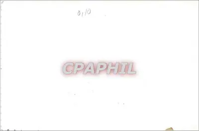 Róża pomarańczowa — kartka życzeń — 01/10 — Rewers