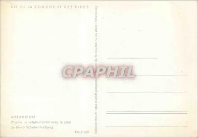 Anthurium — czerwone kwiaty w ozdobnym naczyniu z heroną — Éditions des Artistes multiés, Nr F 605 — Rewers