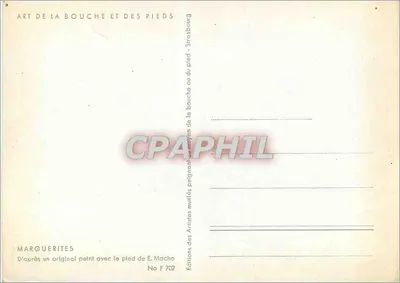 Bouquet de marguerites et de coquelicots — Meilleurs vœux — Marguerites, Éditions F 702 — Rewers