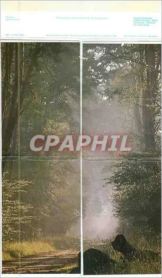 Las zasłonięty słońcem — poranek z mgłą — wydanie France Postale — Rewers