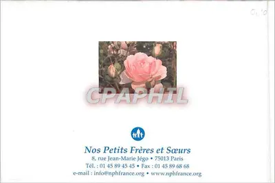 Rosas — jardim — Verso