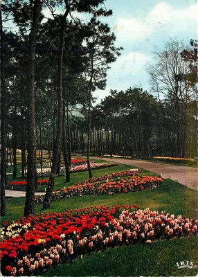 Parque residencial - Floralies - IRIS