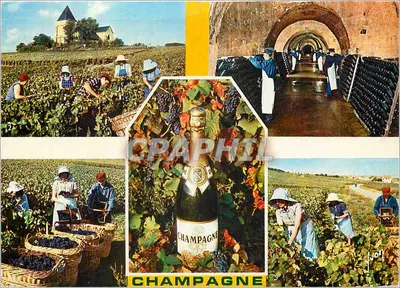 Champagne — vinhedos, caves e garrafa — Edições Jean-Jaurès