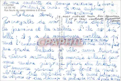 Rua florida de rosas trémières na La Noue — Ilha de Ré — Edições Michel MARQUO — Verso