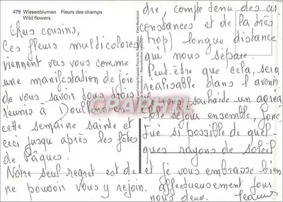 Flores dos campos — Wiesenblumen — editor: Herk und Verlag Englisch Press AG, Sankt Gallen, n° 479 — Verso