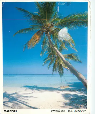 Maldivas — Paraíso na Terra — Mansha Traders Co.Pvt.Ltd.