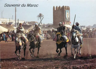 Cavaliers in Fantasia — Magic of Fantasia where the riders compete in skill before the amazed crowd — MAROC INFINI