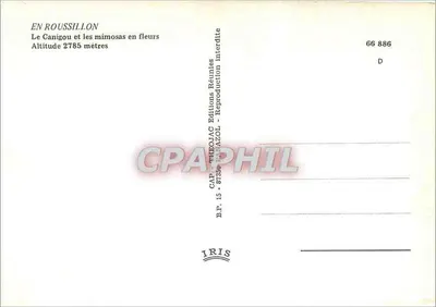 Il Canigou e i mimose in fiore — In Roussillon — editore IRIS, n° di serie 66 886 — Verso