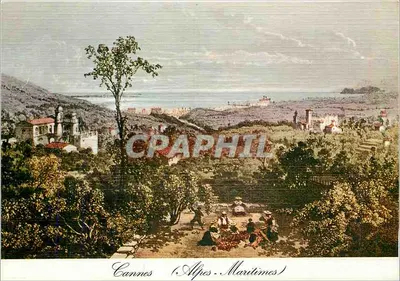 Cannes (Alpes-Maritimes) — vista panorâmica — Edições S.P.A.D.E. n°80