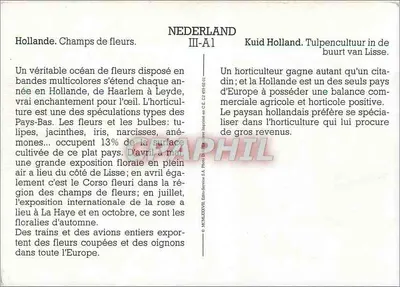 Holandia. Pola kwiatowe — NEDERLAND III-A1 — Wydawca C.E. D. 495 03 01 — Rewers