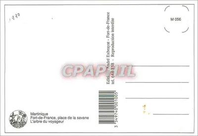 Drzewo podróżnika — Martinique — Wydawnictwo André Exbrayat, nr M 056 — Rewers