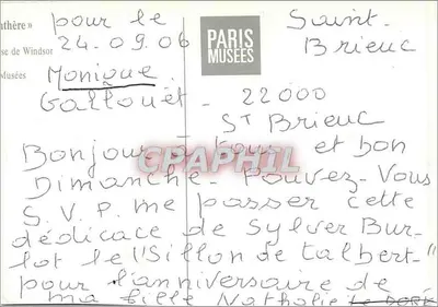 Panthère — brosza z błękitnym szafirem i diamentami — Paris Musées — Rewers