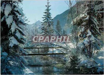 Gstaad, Oldenhorn — paisagem invernal com ponte — Photo Williger, Gstaad, n° 624