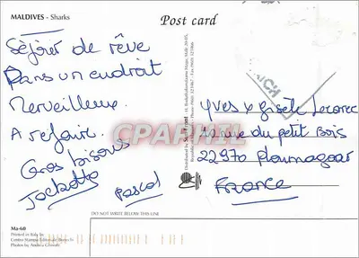 Tubarões — Maldivas — Fotografias por Bonechi - Itália — Verso