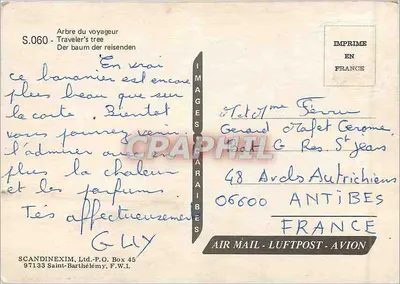 Drzewo podróżnika — seria S.060 — SCANDINEXIM, Ltd. - Saint-Barthélemy — Rewers