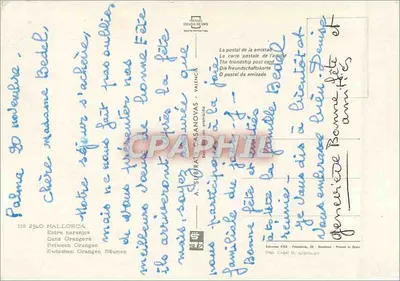Mulher colhendo laranjas — MALLORCA — Editor A. SUBIRAT CASANOVAS, n° 2540 — Verso