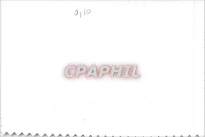 Rosa vermelha — carta postal de felicitações — n° 0110 — Verso